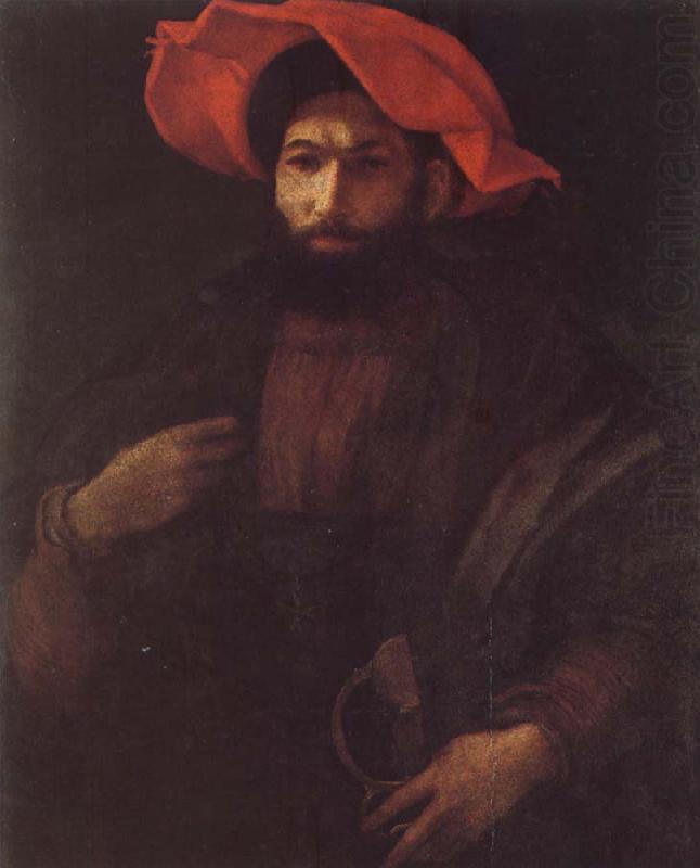 Portrait of a Kinight, Rosso Fiorentino